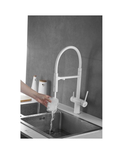 Смеситель для кухни с подключением к фильтру Rose R958C