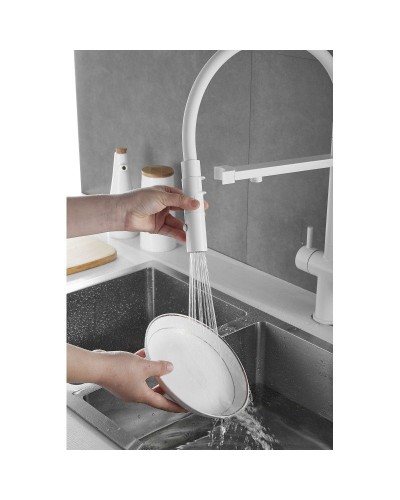 Смеситель для кухни с подключением к фильтру Rose R958C