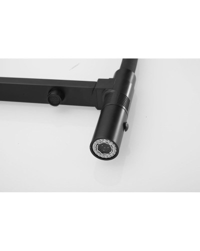 Смеситель для кухни с подключением к фильтру Rose R958H