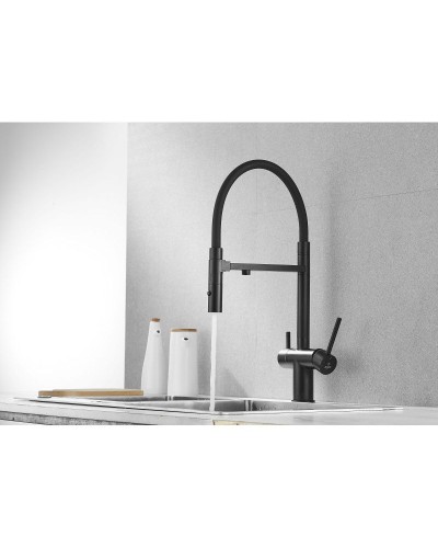 Смеситель для кухни с подключением к фильтру Rose R958H