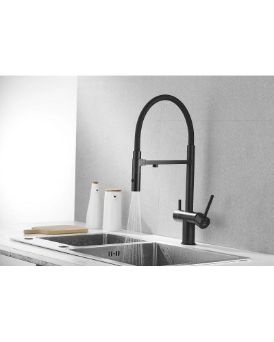 Смеситель для кухни с подключением к фильтру Rose R958H