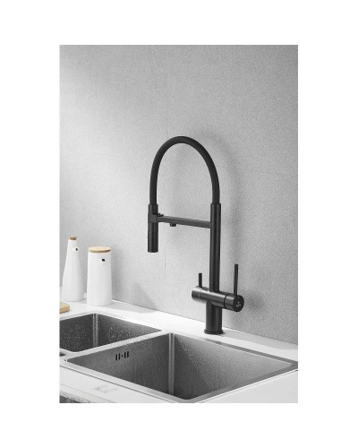 Смеситель для кухни с подключением к фильтру Rose R958H