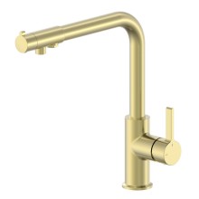 Смеситель для кухни c подключением фильтра WONZON & WOGHAND, Брашированное золото (WW-88458008-BG)