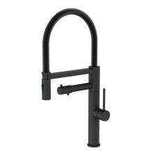 Смеситель для кухни с гибким изливом и подключением фильтра WONZON & WOGHAND, Черный матовый (WW-88458007-MB)