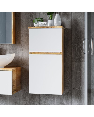 Ива - 40 Полупенал подвесной комбинированный универсальный О