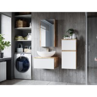 Ива - 40 Полупенал подвесной комбинированный универсальный О