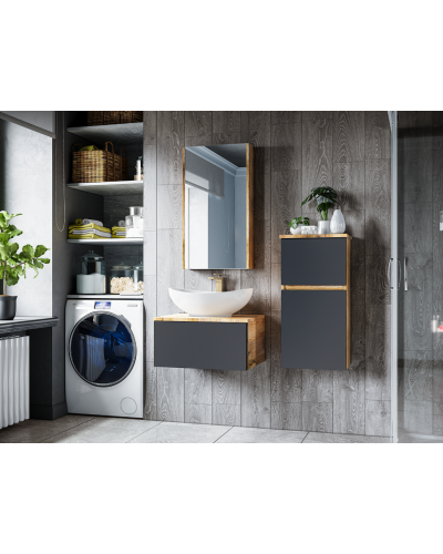 Ива - 40 Полупенал подвесной комбин. Графит пленка О