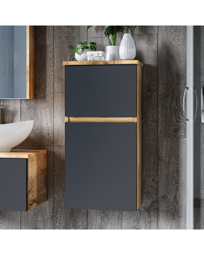 Ива - 40 Полупенал подвесной комбин. Графит пленка О