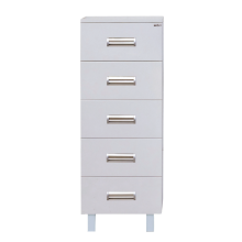 Селена -40 Полупенал с 5 ящ.