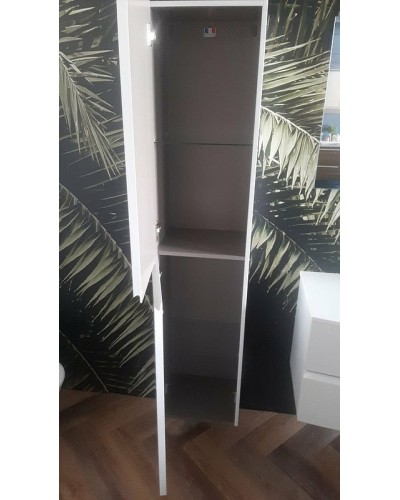 Шкаф пенал Jacob Delafon Nona 30 EB1892LRU-G1C подвесной Белый глянцевый