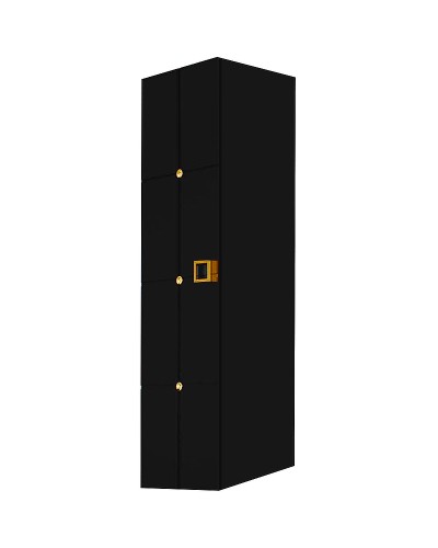 Шкаф пенал Boheme Armadi Art Vallessi Avantgarde Piazza 35 844-BG подвесной Черный Золото