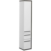 Пенал подвесной эвкалипт мистери/белый глянец R Aquanet Фостер 00202062