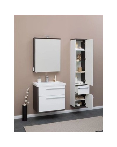 Пенал подвесной эвкалипт мистери/белый глянец R Aquanet Фостер 00202062