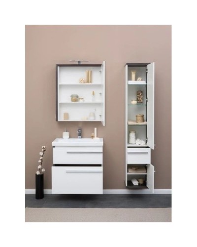 Пенал подвесной эвкалипт мистери/белый глянец R Aquanet Фостер 00202062