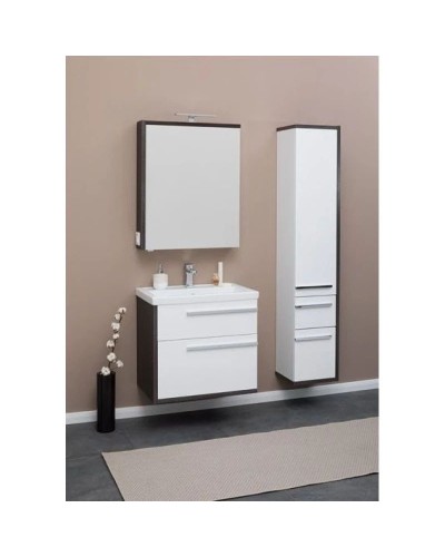 Пенал подвесной эвкалипт мистери/белый глянец R Aquanet Фостер 00202062