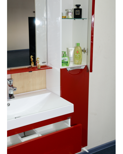 Жасмин - 30 Пенал красный универсальный прав.