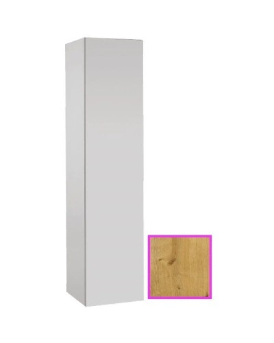 Подвесная колонна с реверсивной дверцей арлингтонский дуб Jacob Delafon Rythmik EB998-E70