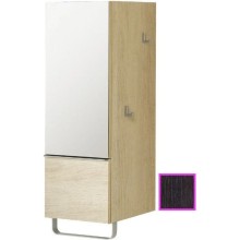 Полуколонна темный дуб с зеркальной дверцей шарниры слева Jacob Delafon Odeon Up EB893G-NR