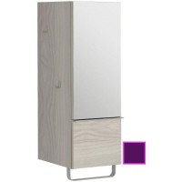 Полуколонна сливовый глянец с зеркальной дверцей шарниры справа Jacob Delafon Odeon Up EB893D-F26