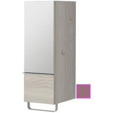 Полуколонна нежно-розовый матовый с зеркальной дверцей шарниры слева Jacob Delafon Odeon Up EB893G-M71