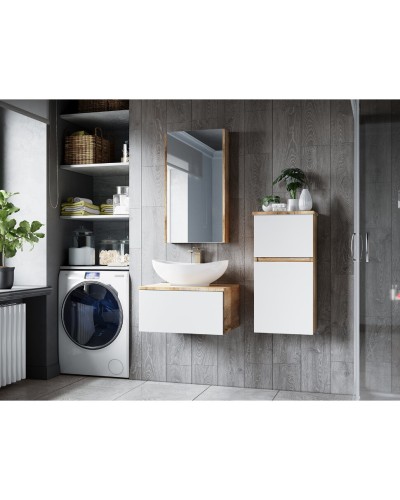 Ива - 60 Тумба подвесная комбинированная 1 ящ. / раковина