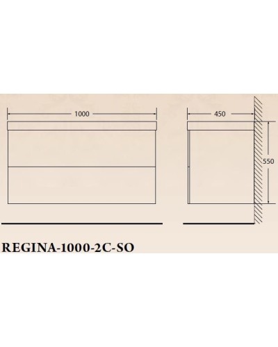 Тумба под раковину BelBagno Regina 100 REGINA-1000-2C-SO-MR-BLUM подвесная Marmo Rosa