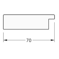 Зеркало Evoform Definite Floor 197х108 BY 6014 в багетной раме - Серебряный дождь 70 мм