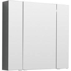 Зеркальный шкаф Aquanet Алвита 90 240110 Серый антрацит