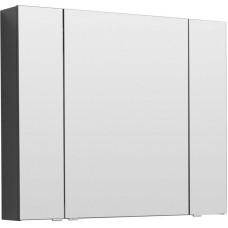 Зеркальный шкаф Aquanet Алвита 100 240113 Серый антрацит