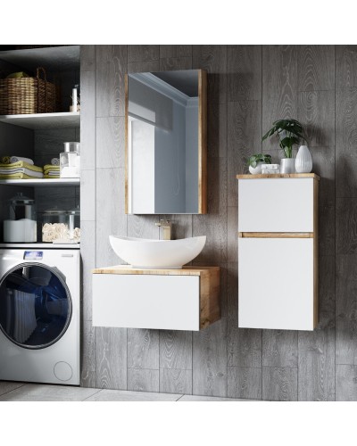 Ива - 45 Зеркало-шкаф правый О