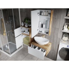 Ива - 45 Зеркало-шкаф левый О