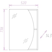 Зеркальный шкаф Onika Дуэт 52.00 205207 Венге луизиана Бодега светлый