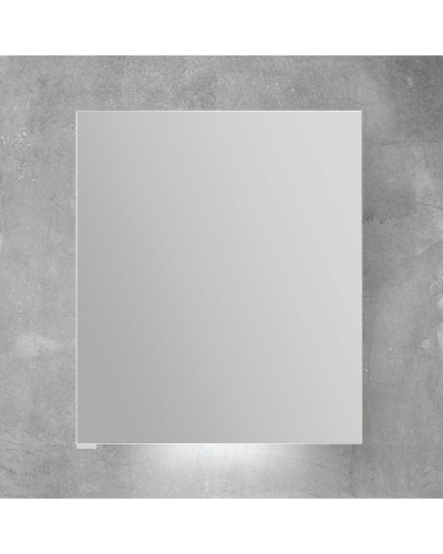 Зеркальный шкаф BelBagno SPC 50 SPC-1A-DL-BL-500 с подсветкой Белый