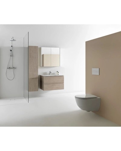 Зеркальный шкаф 100х75 см Laufen Frame 25 4.0860.3.900.144.1