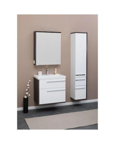 Зеркальный шкаф 69,5х85 см эвкалипт мистери/белый глянец R Aquanet Фостер 00202061