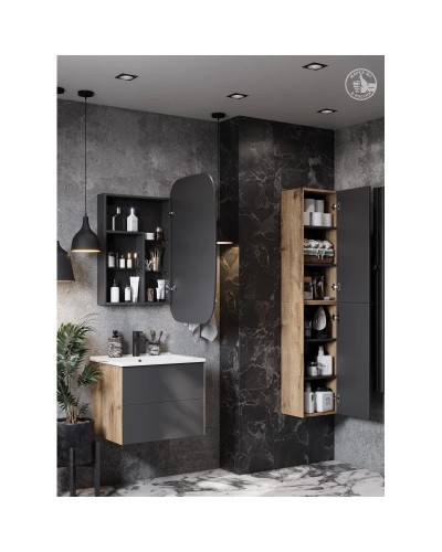 Зеркальный шкаф 60х96 см графит R Акватон Сохо 1A258302AJA0R