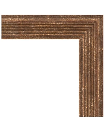 Зеркало Evoform Definite 83х63 BY 1009 в багетной раме - Сухой тростник 51 мм