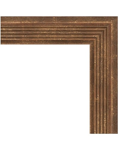 Зеркало Evoform Definite 103х53 BY 1054 в багетной раме - Сухой тростник 51 мм