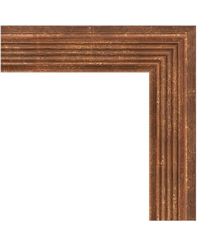 Зеркало Evoform Definite 143х53 BY 1069 в багетной раме - Сухой тростник 51 мм
