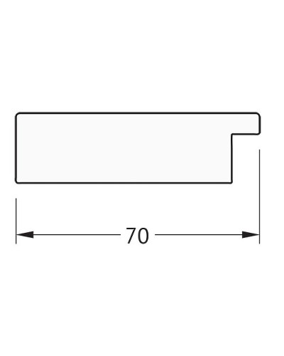Зеркало Evoform Definite Floor 197х78 BY 6002 в багетной раме - Серебряный дождь 70 мм