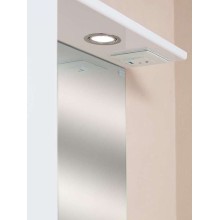 Зеркало со шкафом Onika Ника 60.01 L 206015 с подсветкой Белое