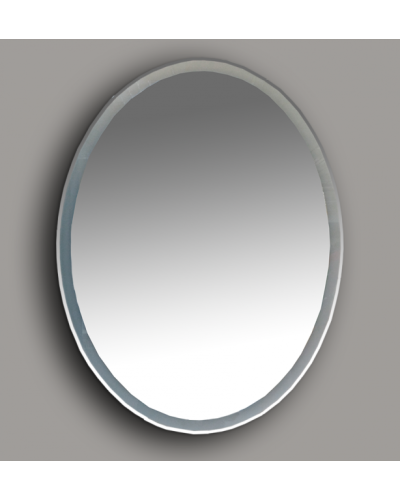 4 Неон - Зеркало LED 600х800 сенсор на корпусе (овальное)