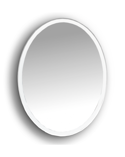 4 Неон - Зеркало LED 600х800 сенсор на корпусе (овальное)