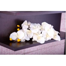 Зеркало Бриклаер Чили 55 4627125415043 с подсветкой Венге