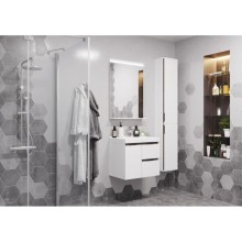 Зеркало 60х85 см белый глянец Акватон Рене 1A222302NR010