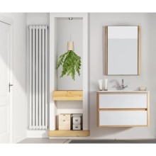 Зеркало 52х80 см клен Belux Альмерия В 60