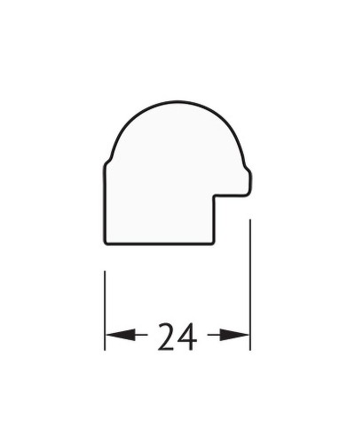 Зеркало Evoform Definite 127х67 BY 0746 в багетной раме - Золотой бамбук 24 мм