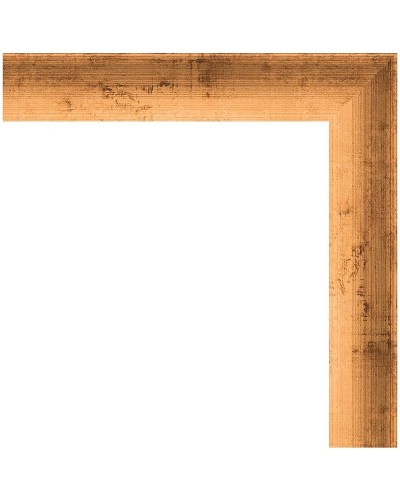 Зеркало Evoform Definite 100х50 BY 0699 в багетной раме - Красная бронза 37 мм