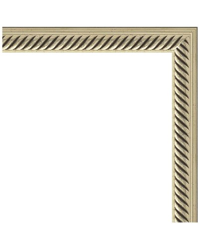 Зеркало Evoform Definite 138х48 BY 0708 в багетной раме - Витое серебро 28 мм