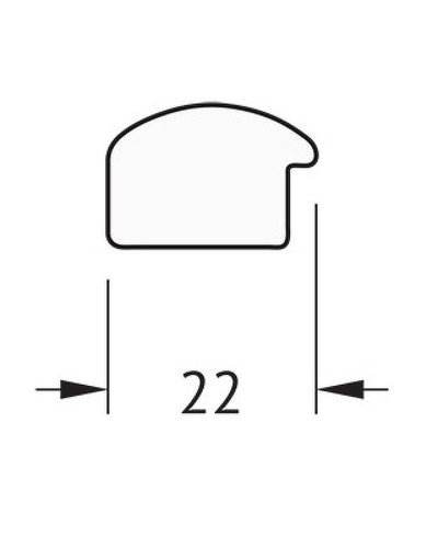 Зеркало Evoform Definite 148х68 BY 0758 в багетной раме - Махагон 22 мм
